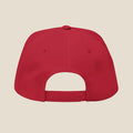 Seeker Snapback