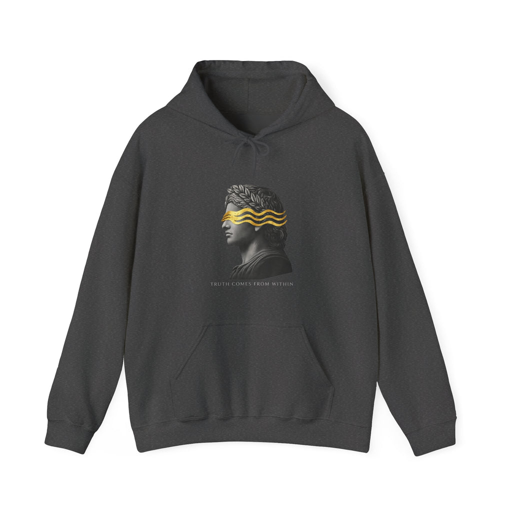 Truth Comes From Within Hoodie