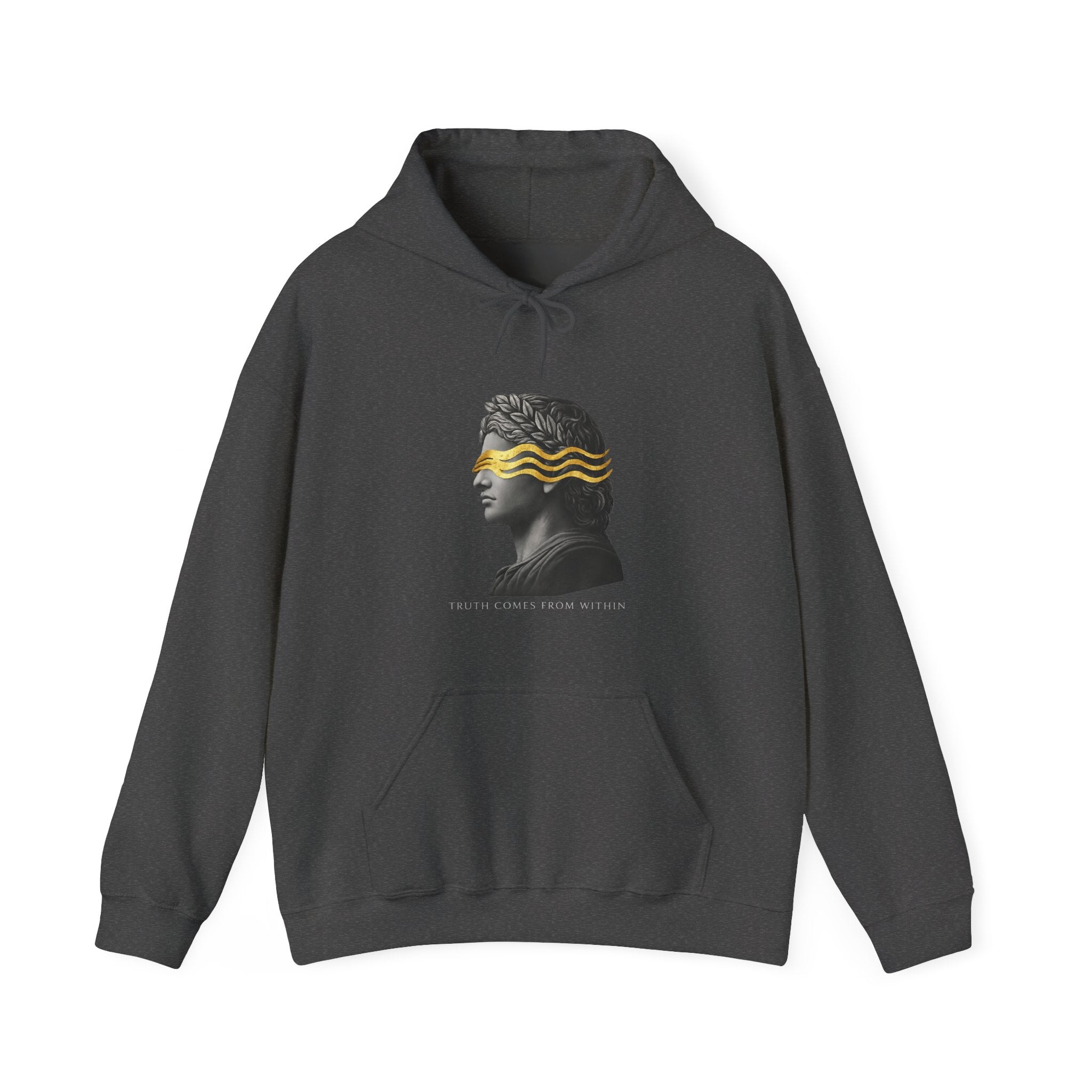 Truth Comes From Within Hoodie