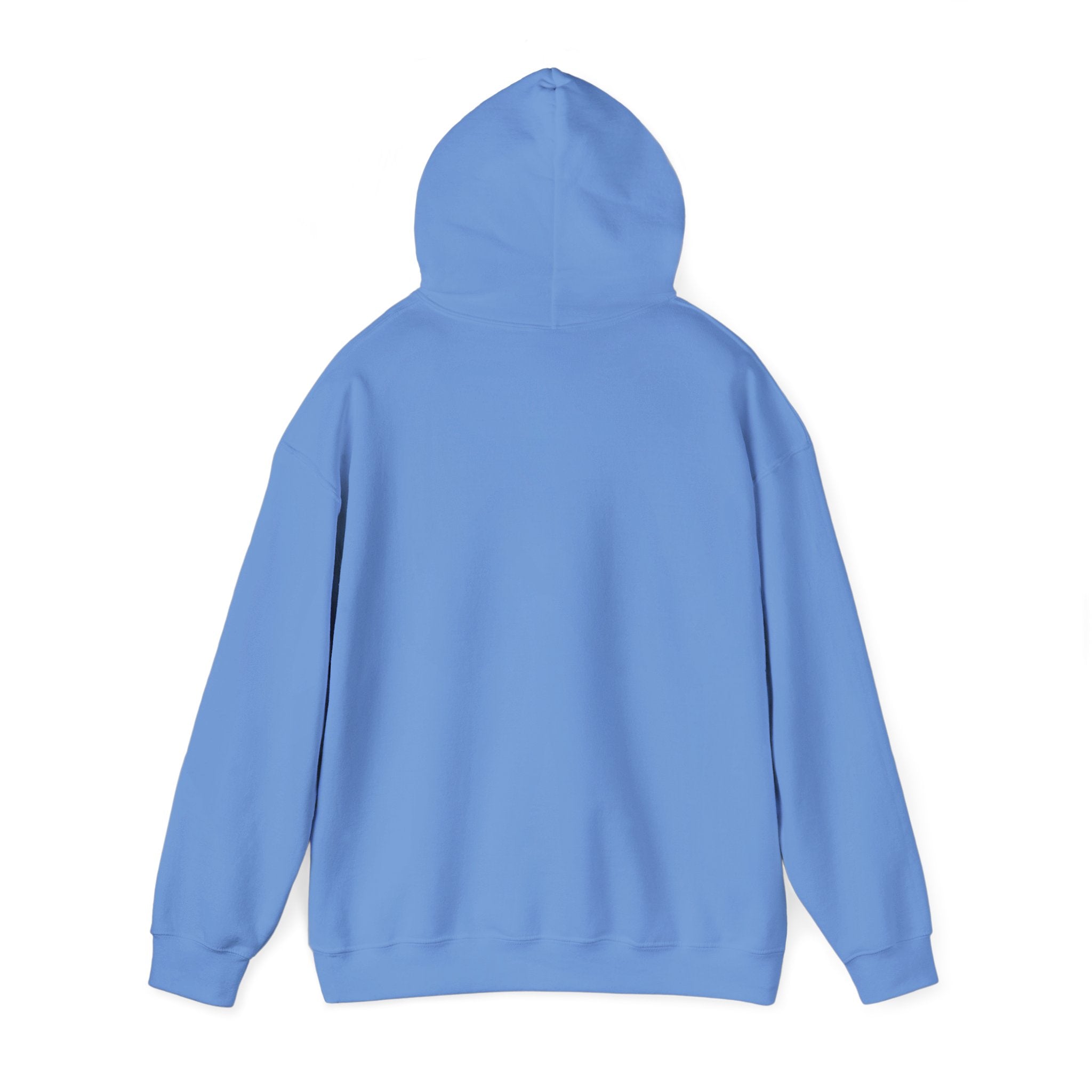 Observer Not Participant Hoodie