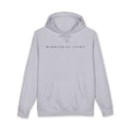 Warrior of Light Hoodie