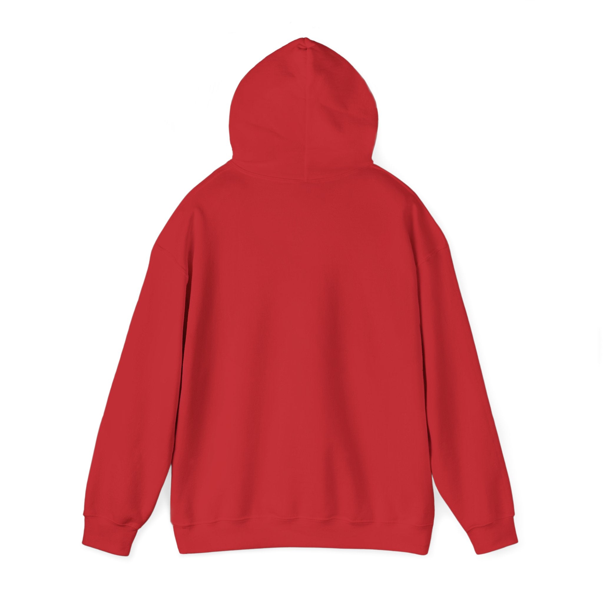 Observer Not Participant Hoodie