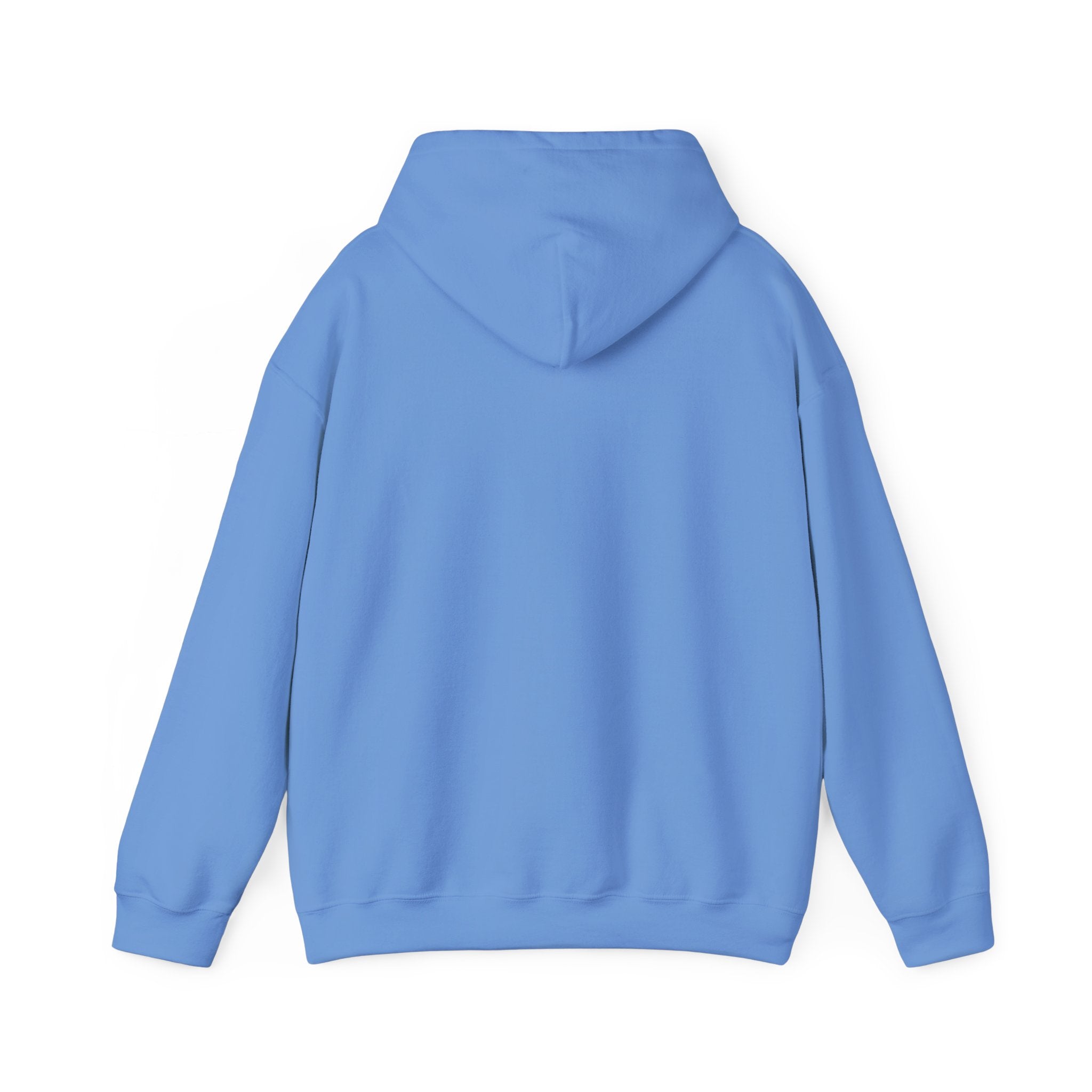 Observer Not Participant Hoodie