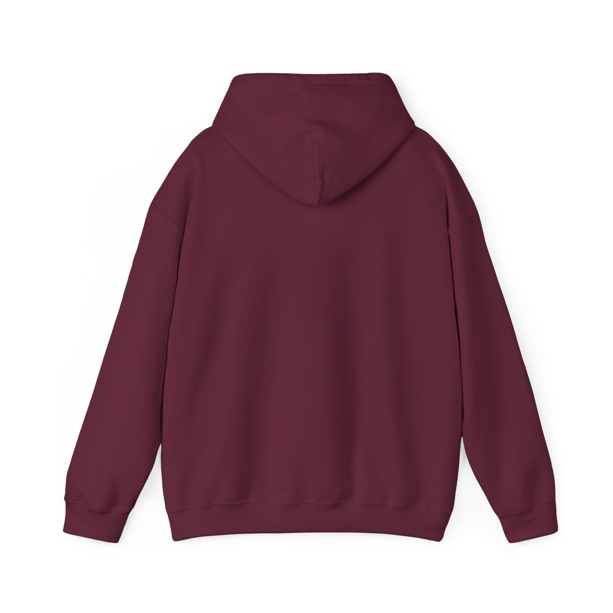Before The Pills Hoodie