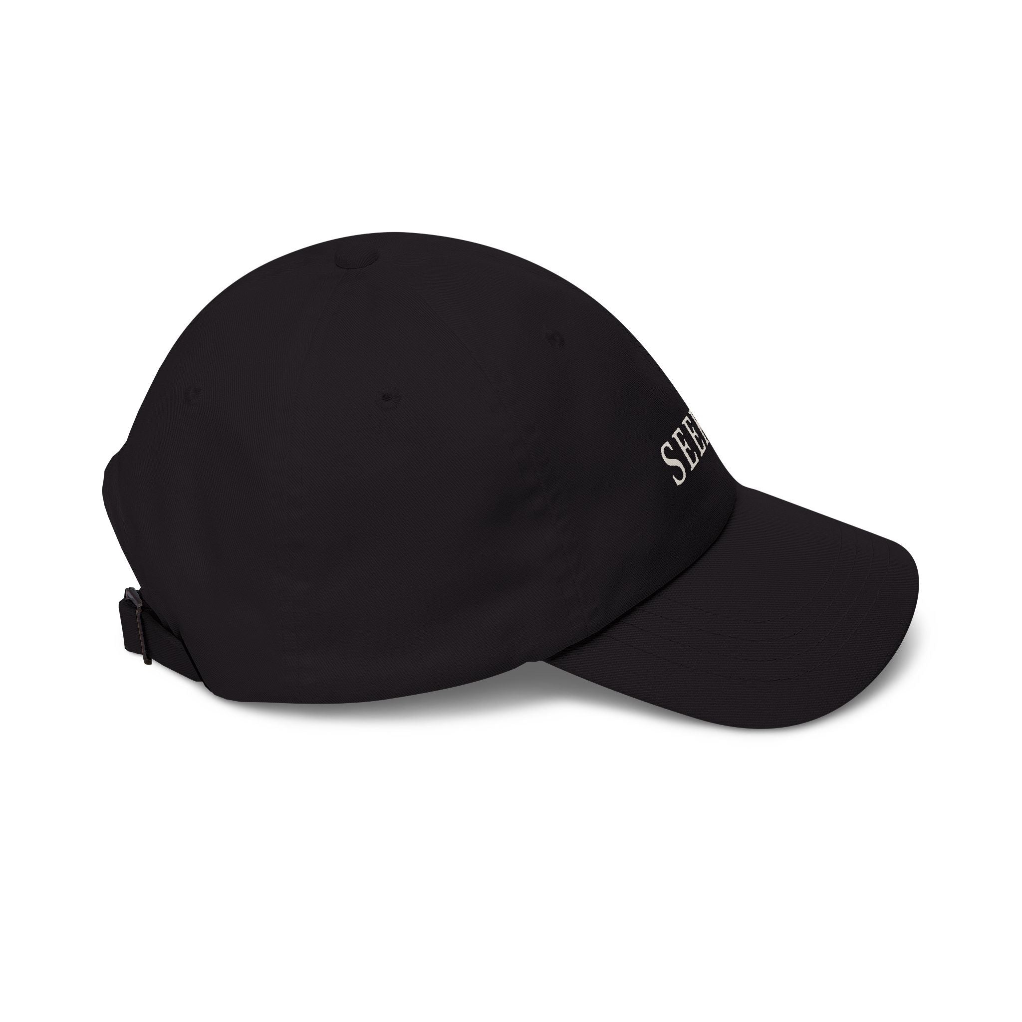 Seeker Dad Cap
